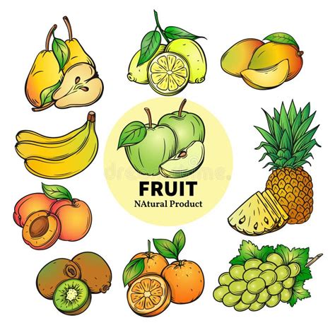 Set Of Colorful Hand Draw Fruit Stock Vector Illustration Of Food