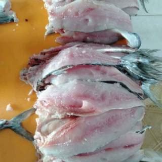 Jual Daging Ikan Tenggiri Tenggiri Giling Super Kg Tangerang