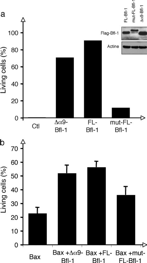 Role Of The Amphipathic Helix ␣ 9 For Bfl 1 Anti Apoptotic Activity A Download Scientific