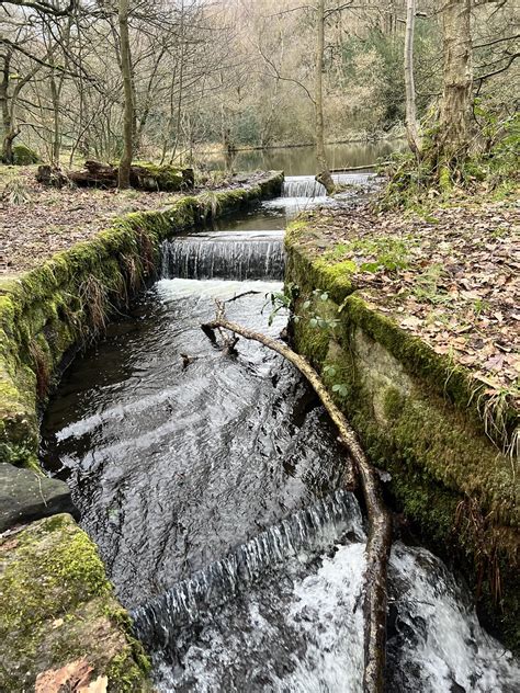 Cromford Alderwasley Alport Heights Shining Cliff Woods Flickr