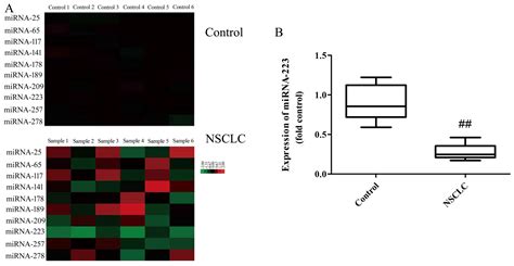 Mirna 223 Is An Anticancer Gene In Human Non Small Cell Lung Cancer