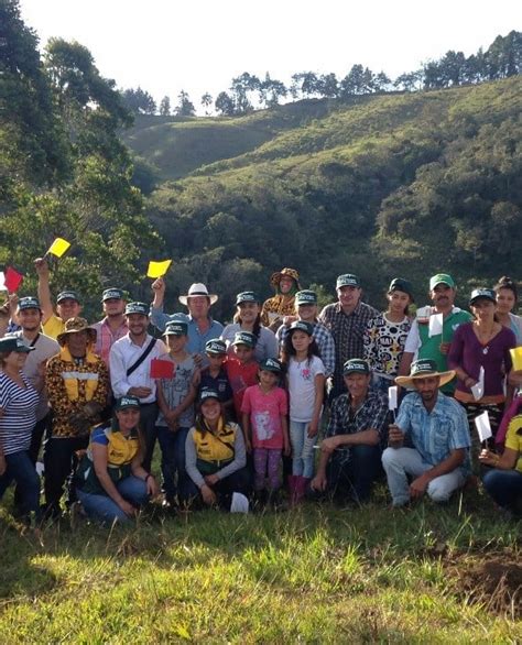 M S Bosques Para El Futuro Contin An Las Actividades De