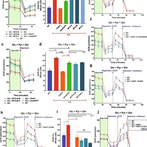 Analysis Of The Trap1 Structure Activity Relationship For Metabolic