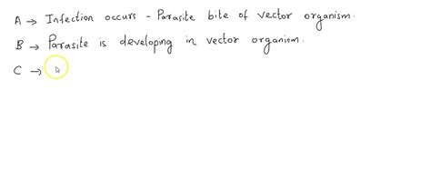 SOLVED: QUESTION 2 Fill in the missing details that correspond to each ...