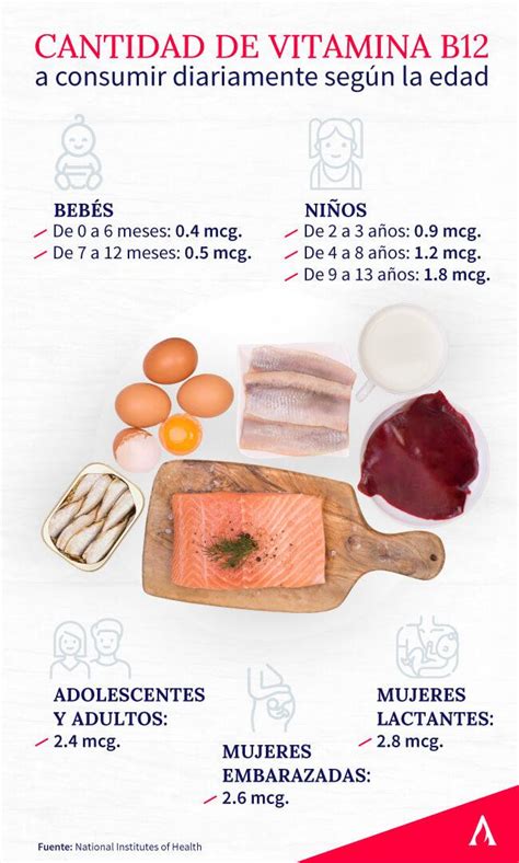 5 Alimentos Que Contienen Vitamina B12 Aprende Institute