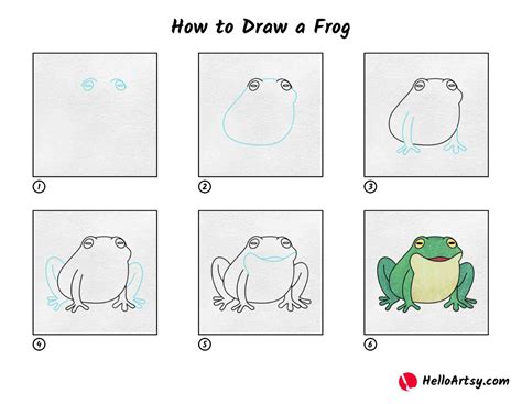 How To Draw A Frog Helloartsy