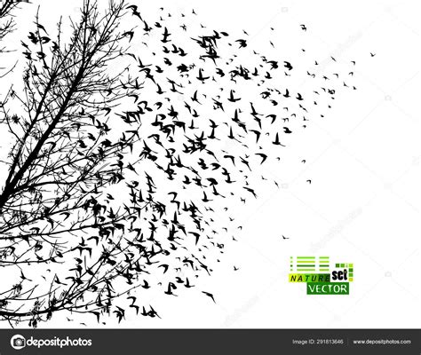 Birds Flying From Tree Silhouette