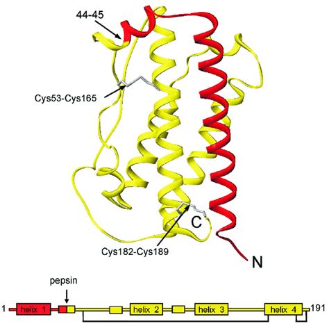 Hgh Diagrams