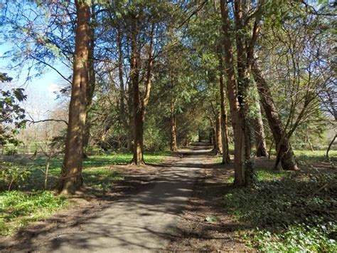 Rosshall Park The River Walk Lairich Rig Geograph Britain And Ireland