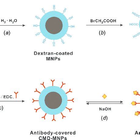 Preparation Of Carboxymethylated Dextran Coated Magnetic Nanoparticles