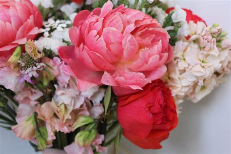 Colour Crush The Beautiful Peony Flower My Floral Styling