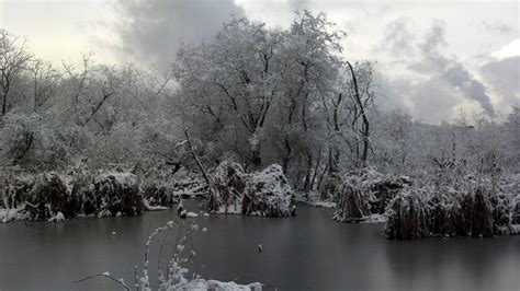 Snow day in Seattle | Seattle washington, Favorite places, Waterfall