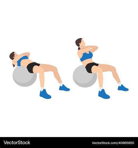 Woman Doing Stabilityswissexercise Ball Crunches Vector Image