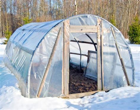 Winter Greenhouse Growing - Which Vegetables To Grow