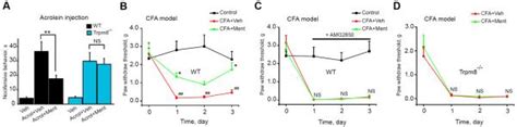 Trpm8 Is The Principal Mediator Of Menthol Induced Analgesia Of Acute