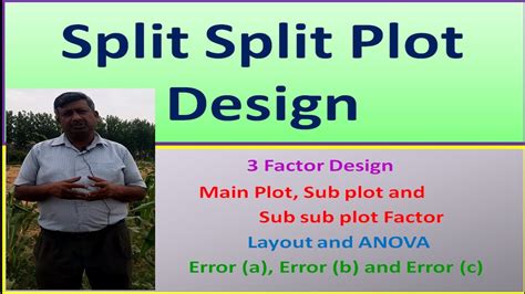 Split Split Plot Design In R - Design Talk