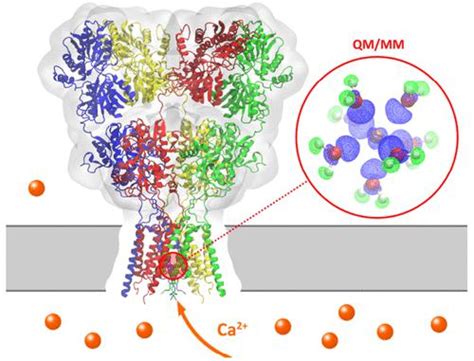 Journal Of Chemical Information And Modeling X Mol