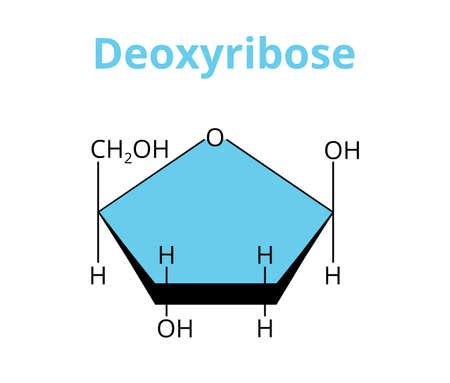 Vector of 2D vector molecular structure - ID:176347182 - Royalty Free ...