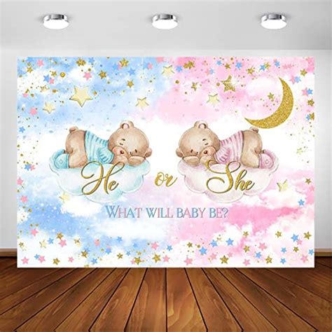 Avezano Bear Gender Reveal Backdrop He Or She Photography Background