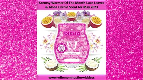 Scentsy Warmer Of The Month Luxe Leaves And Aloha Orchid Scent For May 2023 Youtube