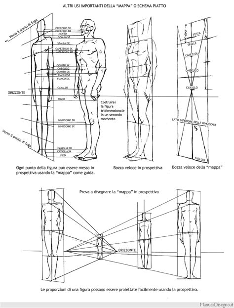 Idee Su Le Proporzioni Disegno Di Anatomia Anatomia Come Disegnare