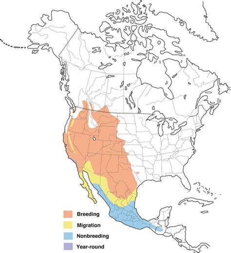 Baltimore Oriole Migration Map 2017 - Maps For You