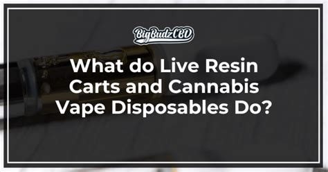 What Do Live Resin Carts And Cannabis Vape Disposables Do BigBudzCBD