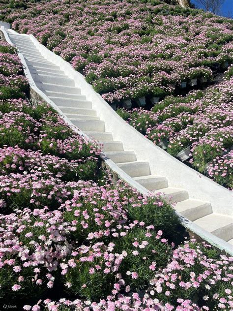 Flora Park In Cameron Highlands Klook India