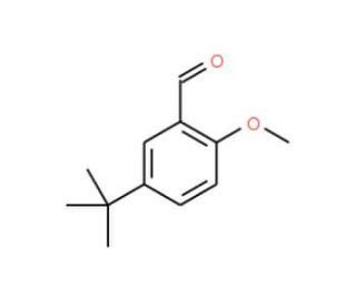 5 Tert Butyl 2 Methoxybenzaldehyde CAS 85943 26 6 SCBT Santa