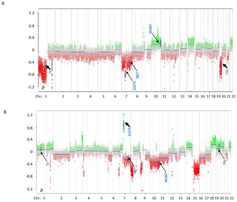 Genes Free Full Text Evaluation Of Dna Methylation Array For Glioma