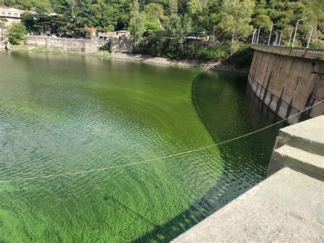 Confirman el potencial tóxico del agua aerosolizada en el embudo del