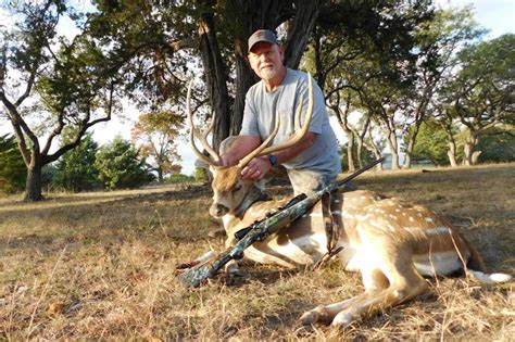 Axis Deer Hunts in the Texas Hill Country