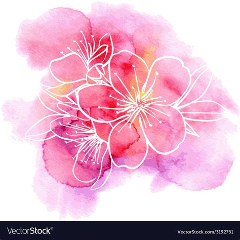 Cherry Flowers On A Watercolor Background Vector Image