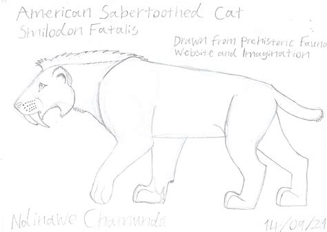 Ndinawe Chamunda American Saber Toothed Cat Concept