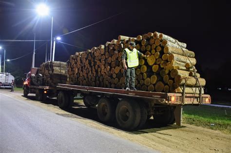 Aguaray En Dos Procedimientos Gendarmer A Secuestr Kilos De Hojas