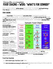 Kami Export - Kaeden Davis - food chain .pdf - Energy flow in ...