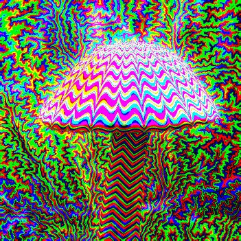 Green mold, out of ideas - Mushroom Cultivation - Shroomery Message Board 