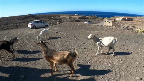 Morro Jable Playa De Jandia Fuerteventura Fahrt Nach Cofete Villa