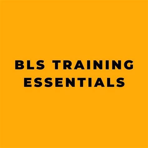 Bls Training Essentials Online Safety Trainer