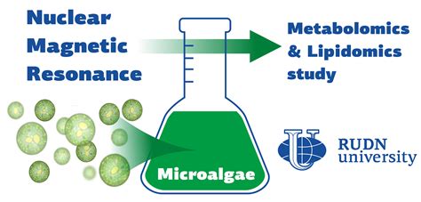 Chemists Reveal Potential Of Nmr Spectroscopy For Microalgae Study