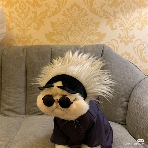 a small stuffed animal wearing sunglasses and a jacket on a couch with ...