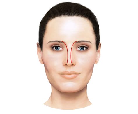 Two Slightly Curved Divergent Lines Of The Ideal Nasal Dorsum In