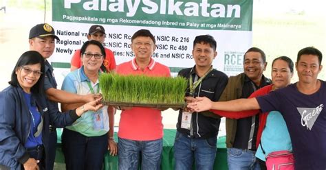 2 Negros Cities Pilot ‘palaysikatan To Boost Rice Yield Philippine