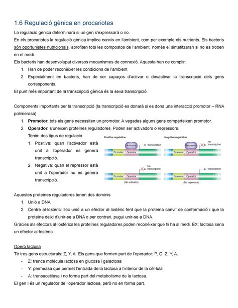 Tema 1 6 Regulació en procariotes Genética UdG StuDocu