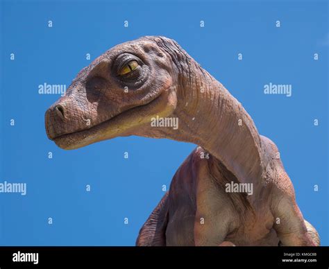 Parque De Dinosaurios Modelo Fotografías E Imágenes De Alta Resolución Alamy