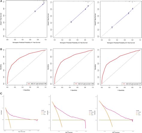 Calibration Curves ROC And DCA Of The Prognostic Nomogram A