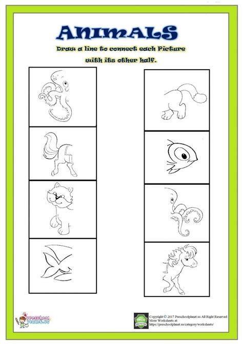 Animals matching worksheet – Preschoolplanet