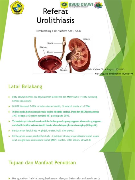 Referat Urolithiasis Pdf