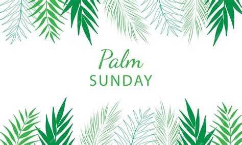 Premium Vector Palm Sunday Greeting Banner Template For Christian Holiday With Palm Tree