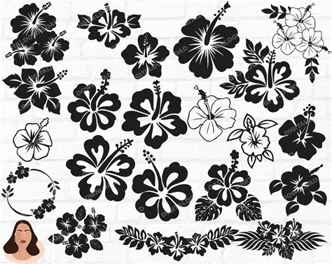 Hibiscus Bundle Svg Flower And Leaves Svg Png Eps Dxf Etsy